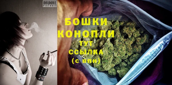 mdpv Тавда