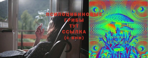 mdpv Тавда